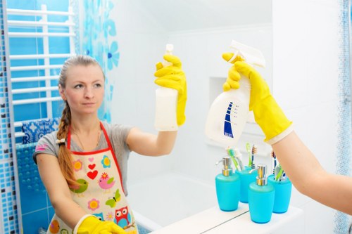 Deep cleaning tools and a freshly organized living space