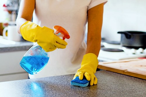 Professional end of tenancy cleaning in a modern kitchen