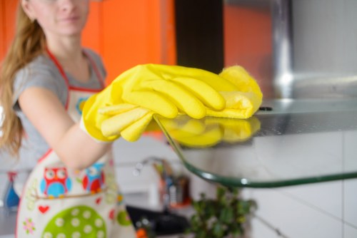 Kitchen cleaning supplies arranged on a counter