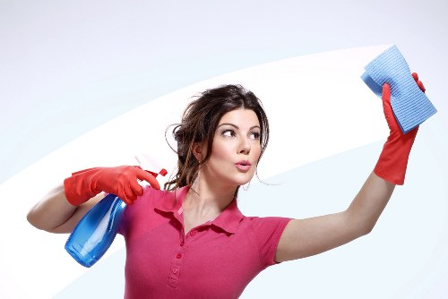 Cleaning supplies organized for daily upkeep